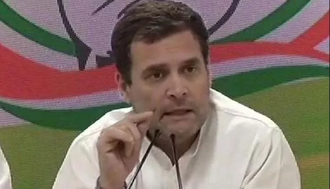 BJP asks Rahul Gandhi to come clean on his citizenship, qualification - Sakshi