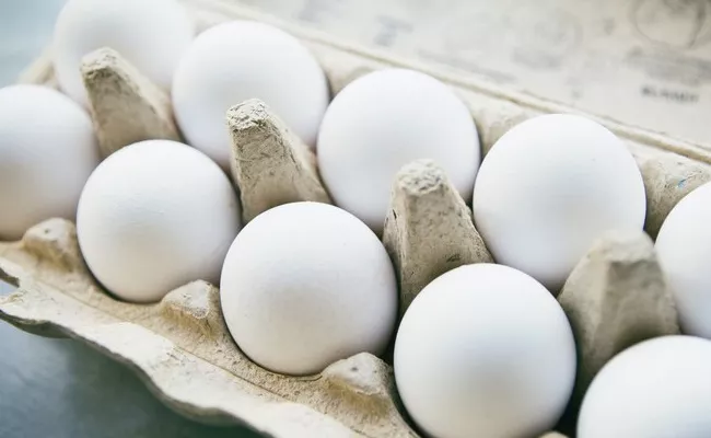 Egg Prices Down Fall in Krishna - Sakshi