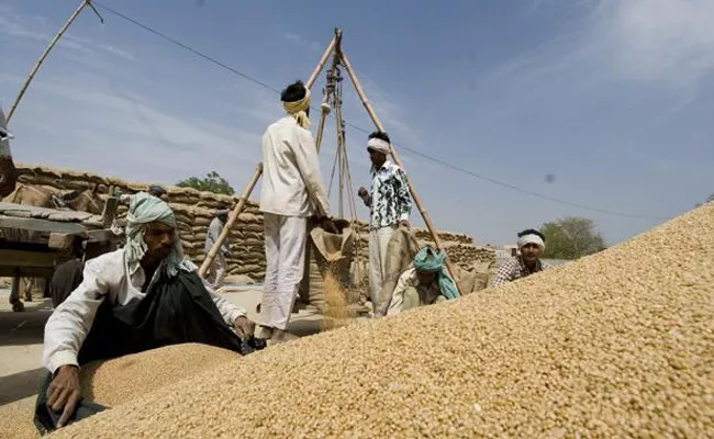 Grain Purchases Centers In Mahabubnagar - Sakshi