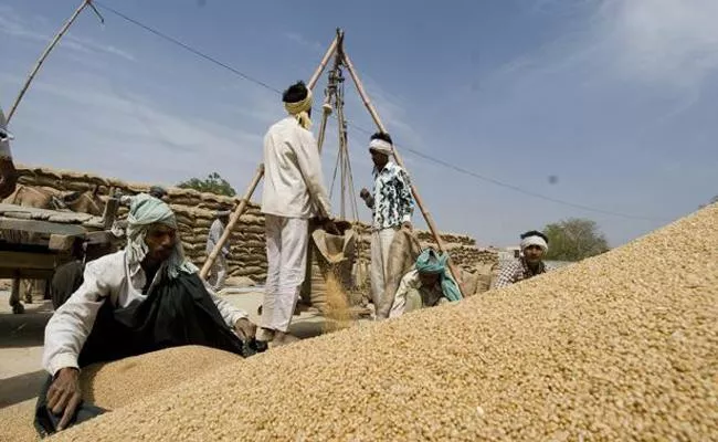 Farmers Problems With Grain Purchases Centers - Sakshi