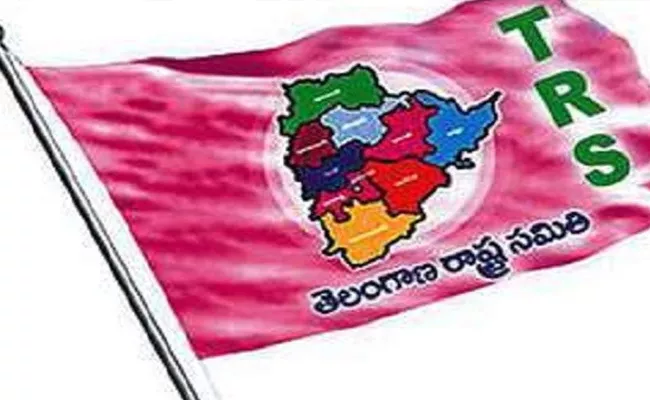 ZPTC And MPTC Elections Candidates In TRS - Sakshi