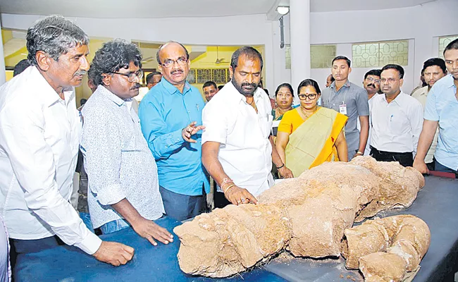 Srinivas Goud examined the Phanigiri Buddha Prathima - Sakshi