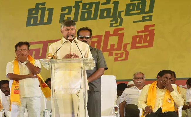 Chandrababu Naidu Election Campaign In Nellore - Sakshi