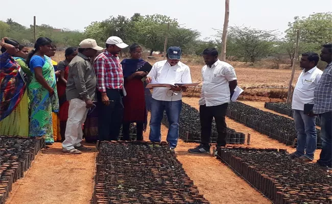 ‍Haritha Haram Programme In Nalgonda - Sakshi