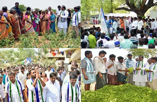 ysrcp candidates election campaign in kurnool - Sakshi