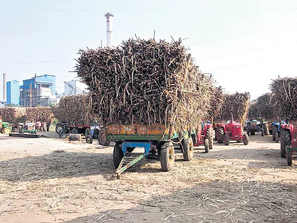 Unpaid bills For sugarcane farmers - Sakshi