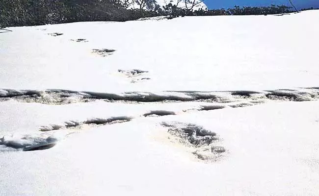 India Army Once Again Post Pics of Yeti Footprints - Sakshi