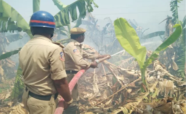 Banana Crop Fired in YSR Kadapa - Sakshi