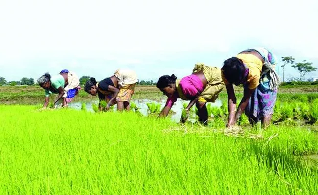 Farmers Kharif Crops Planning In Khammam - Sakshi