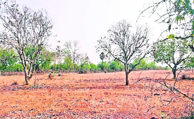 Mango Farmers Loss With Cyclone Nellore - Sakshi