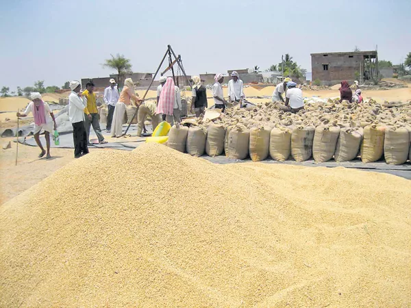 Purchase of 62 lakh metric tons of grain - Sakshi