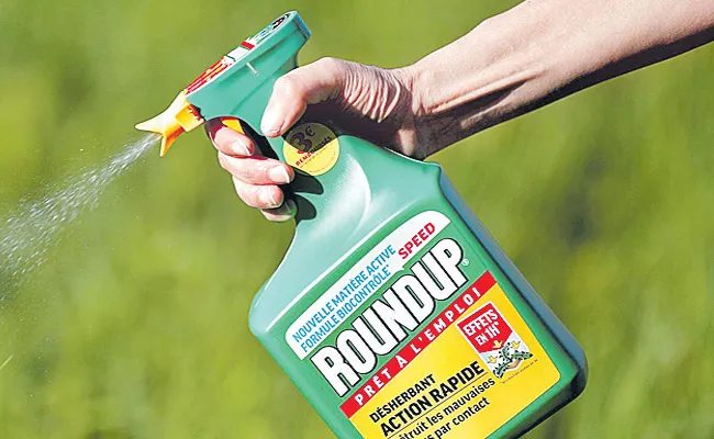 Monsanto to Pay 2 Billion in Weed killer Cancer Case - Sakshi