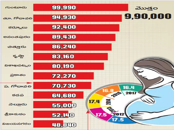 54 thousand infants born and 82 thousand pregnant womens in a district - Sakshi