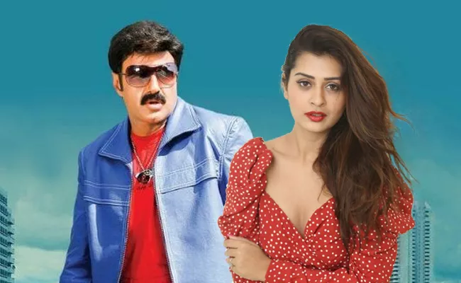 Payal Rajput Opposite Balakrishna in KS Ravikumar Film - Sakshi