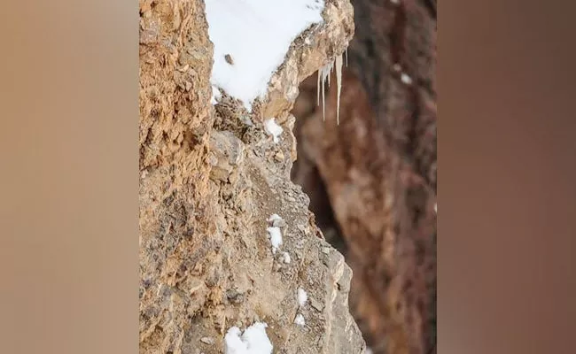 Can You Find Snow Leopard In This Viral Photo Clicked In Himachal Pradesh - Sakshi