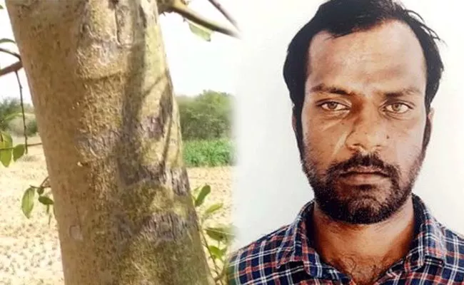 Murdered Girl Name on Hajipura Tree - Sakshi