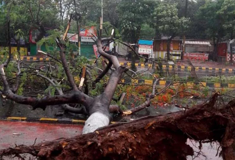 Odisha Man Lives In Toilet With Family After Cyclone Fani Destroys House - Sakshi