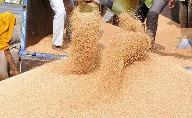 Khareef Season Grains Center Warangal - Sakshi