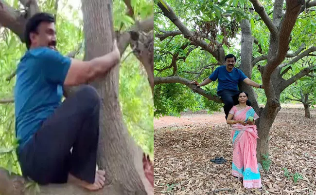 Gali Janardhan Climb in Mango Garden in Bellary - Sakshi