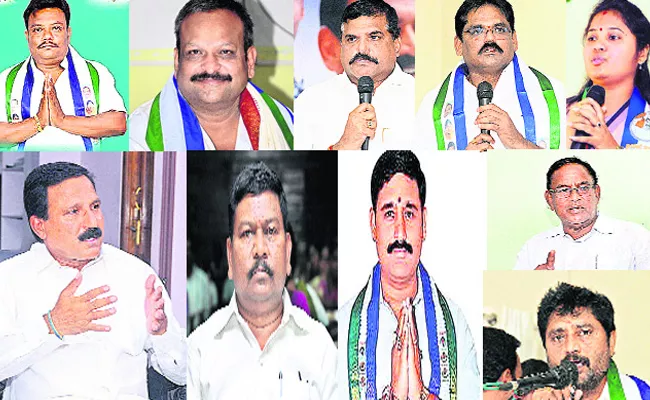 YSRCP Clean Sweep In Vizianagaram  District - Sakshi