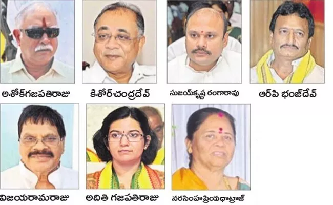 TDP Seniors Are Not Get Even One Seat In Vizianagaram - Sakshi