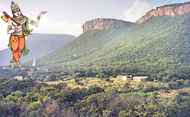 Story image for Srimannarayana temple from The Hindu - Sakshi