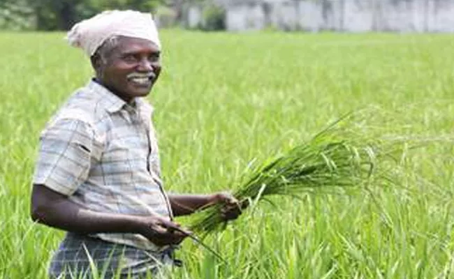 Farmers Loans Release NABARD  Bank Warangal - Sakshi