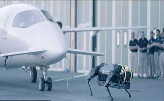 Robot Dogs Pulls Airplane In Geneva Airport - Sakshi