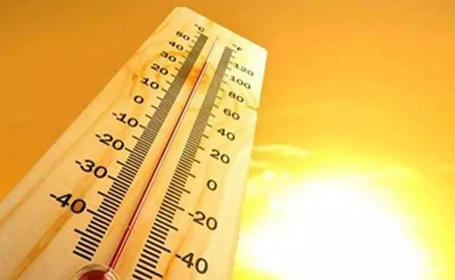 Summer Effect High Temperature In Andhra Pradesh - Sakshi