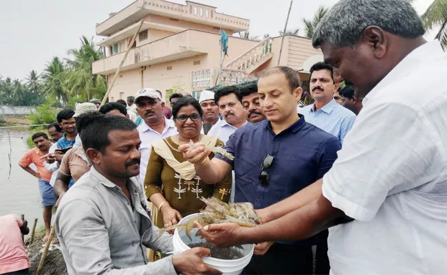 Collector Praveen Kumar Visit Aqua Farms in West Godavari - Sakshi