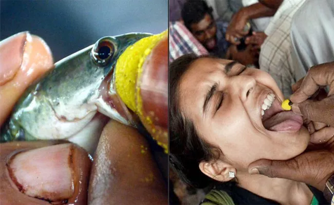 Fish Prasadam Distribution on 8 And 9th June Hyderabad - Sakshi