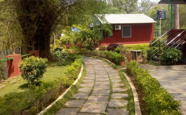 Pacharla Cottages For Summer Tour - Sakshi