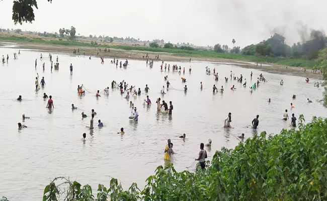 People Loot Fish Pond in Huzurnagar - Sakshi