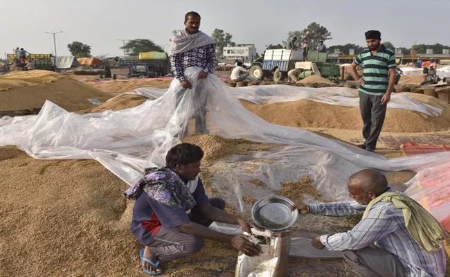 Frauds Grain Centres In Telangana - Sakshi