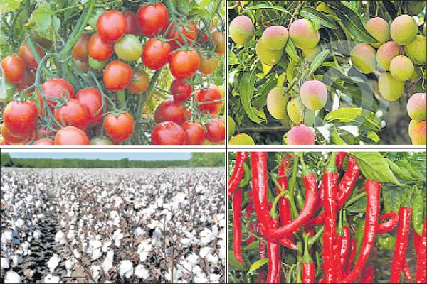 Crops insurance combined with two seasons - Sakshi