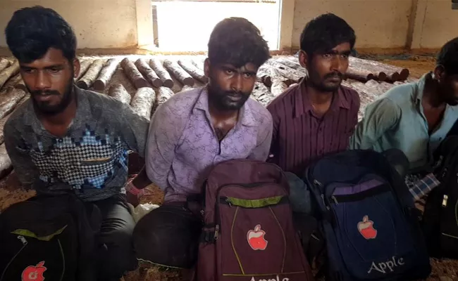 In Kadapa District Forest Police Caught Red Sandalwood Smugglers - Sakshi