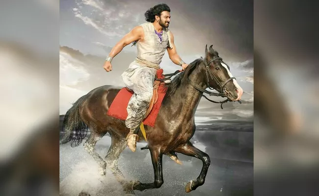 Bahubali Prabhas Horse Win Competitions - Sakshi