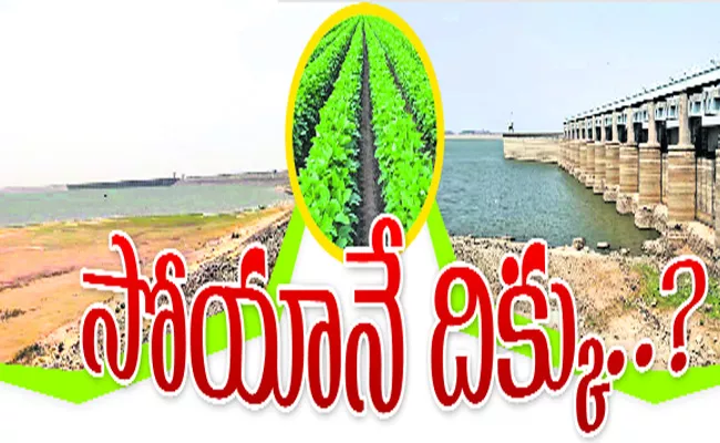 Nizamabad Agriculture Kharif Season - Sakshi