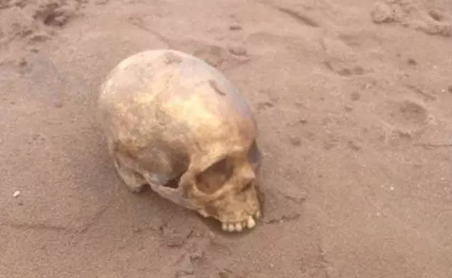 Skull found in Kailasagiri - Sakshi