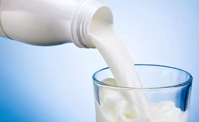 Sensor to Catch Milk that is Damaged - Sakshi