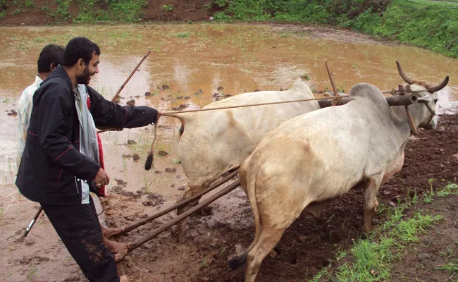 Preparing For Kharif Season Medak - Sakshi