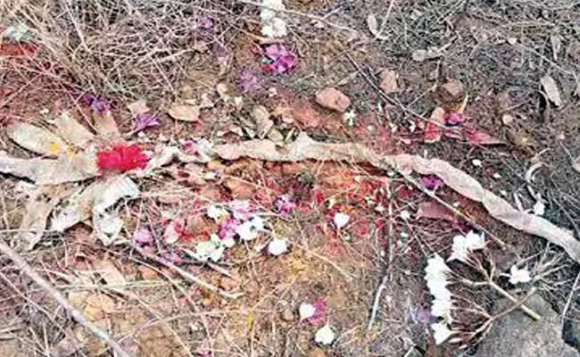 Seven Headed Snake Skin Found In Karnataka - Sakshi