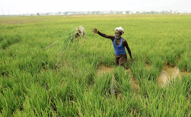 Kharif Season Farmers Ready Rangareddy - Sakshi