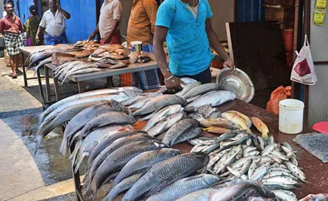 Fishermen full happy with work mahabubnagar - Sakshi