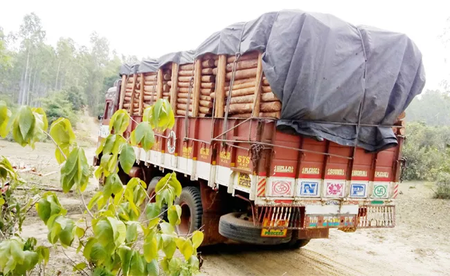 Corruption in Jam Oil Plantation West Godavari - Sakshi