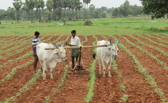 June Kharif Season Start In Telangana - Sakshi