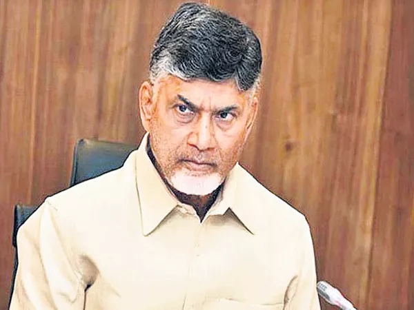 Chandrababu says Lets pressurize the farmer waiver payments in TDP Meeting - Sakshi