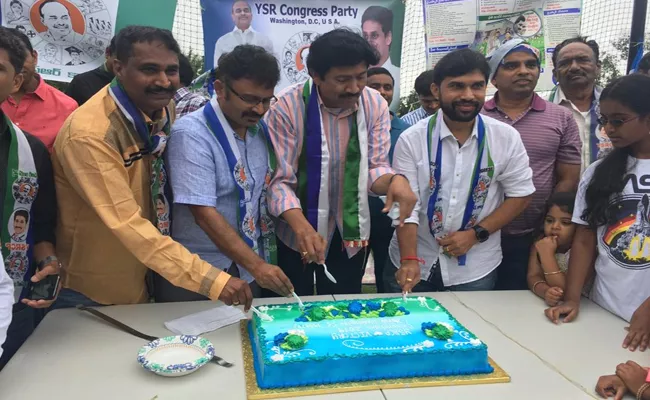 YSRCP Fans In Washington Celebrates Victory - Sakshi