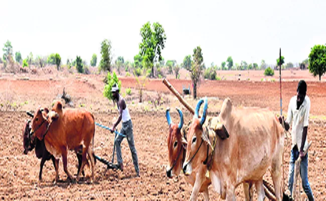 Adilabad Formers Eagerly Waiting For  Rain - Sakshi