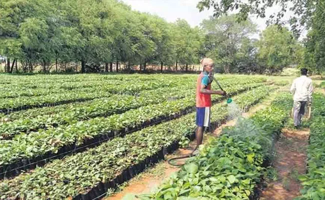 Telangana Government Haritha Haram Program In Warangal - Sakshi